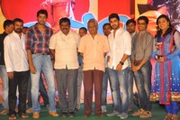 Nuvva Nena Audio Launch